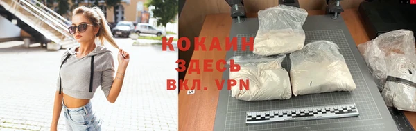 индика Абаза