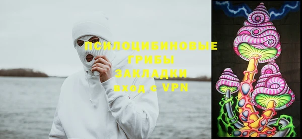 индика Абаза
