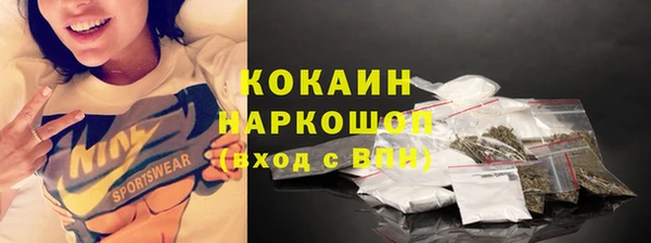 индика Абаза