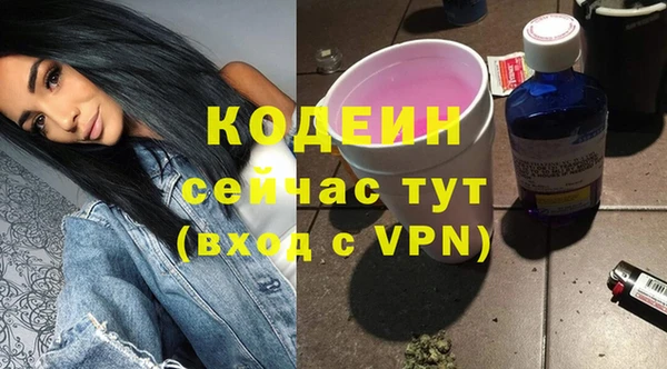индика Абаза