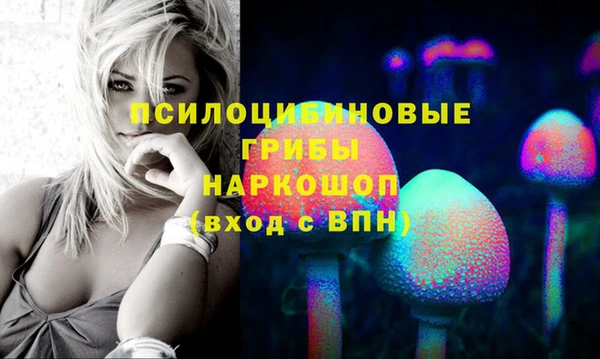 индика Абаза