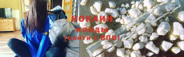 индика Абаза