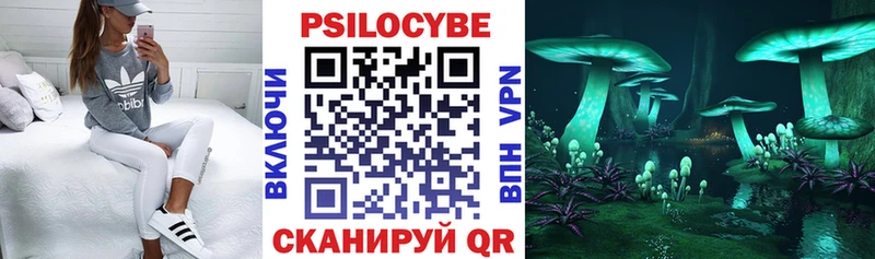 Галлюциногенные грибы Cubensis Скопин